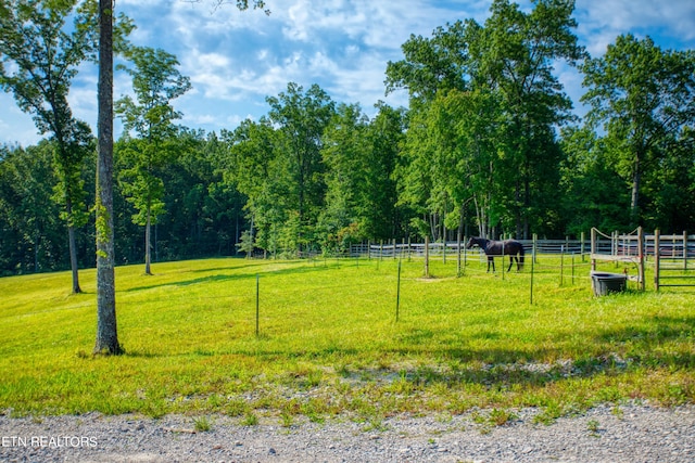 view of property's community with a rural view and a yard