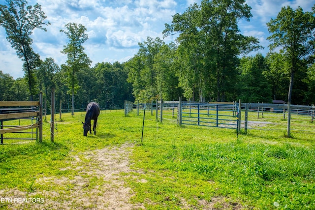 view of yard featuring a rural view