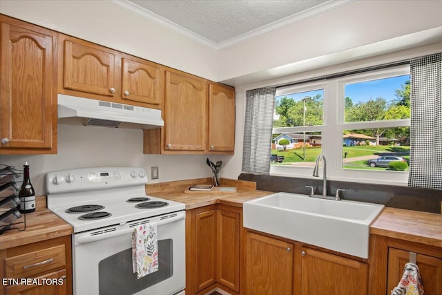 kitchen featuring white range with electric cooktop, sink, ornamental molding, and a textured ceiling