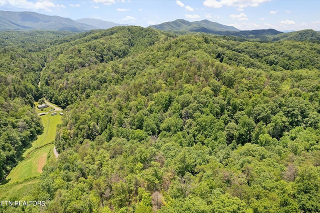 0 Ball Hollow Rd, Cosby TN, 37722 land for sale