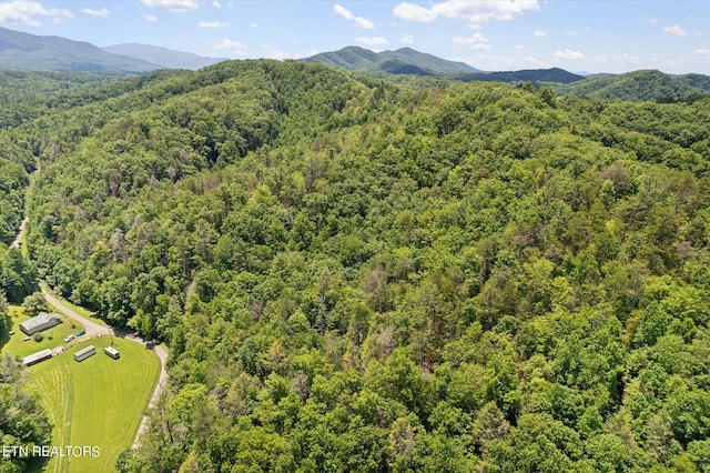 Listing photo 3 for 0 Ball Hollow Rd, Cosby TN 37722