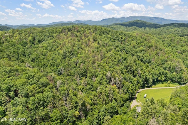 Listing photo 2 for 0 Ball Hollow Rd, Cosby TN 37722