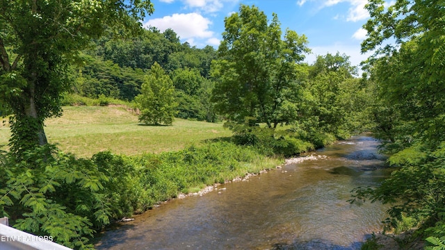 view of local wilderness