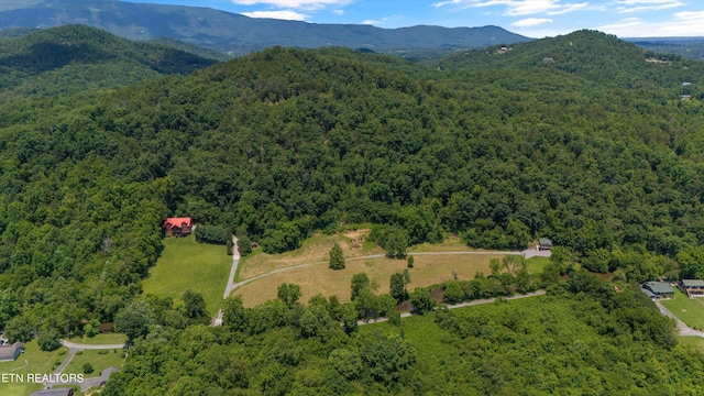 drone / aerial view featuring a mountain view