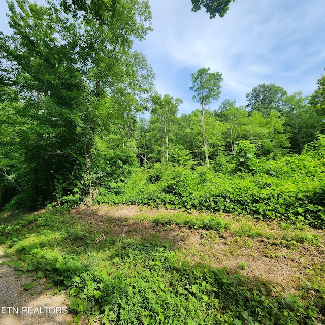 0 Elm Springs Ridge Rd, Washburn TN, 37888 land for sale