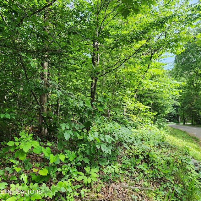 Listing photo 2 for 0 Elm Springs Ridge Rd, Washburn TN 37888