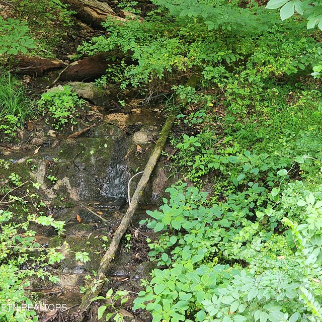 0 Elm Springs Ridge Rd, Washburn, TN 37888 - photo 3