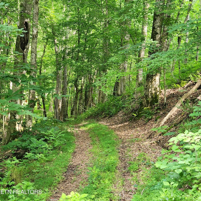 0 Elm Springs Ridge Rd, Washburn, TN 37888 - photo 4