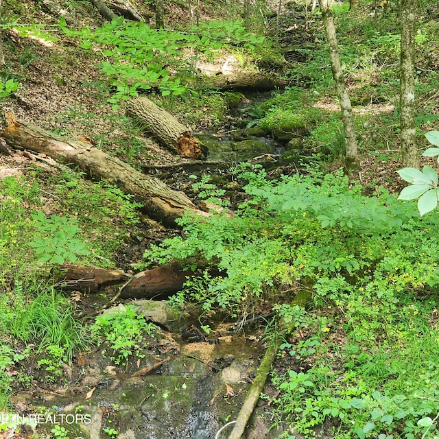 0 Elm Springs Ridge Rd, Washburn, TN 37888 - photo 5