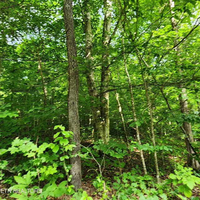0 Elm Springs Ridge Rd, Washburn, TN 37888 - photo 7