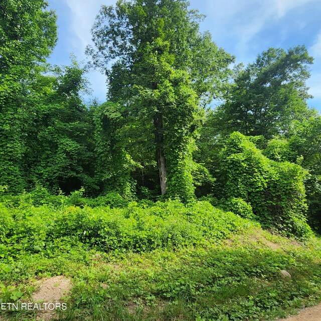 0 Elm Springs Ridge Rd, Washburn, TN 37888 - photo 9