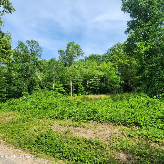 0 Elm Springs Ridge Rd, Washburn, TN 37888 - photo 10