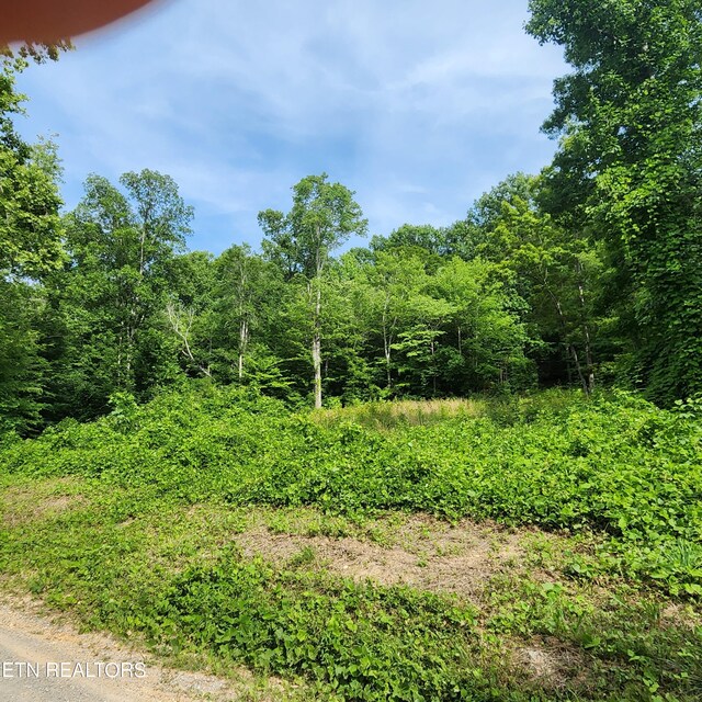 0 Elm Springs Ridge Rd, Washburn, TN 37888 - photo 11