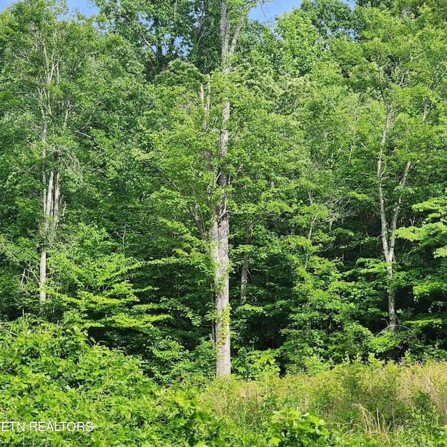 0 Elm Springs Ridge Rd, Washburn, TN 37888 - photo 12