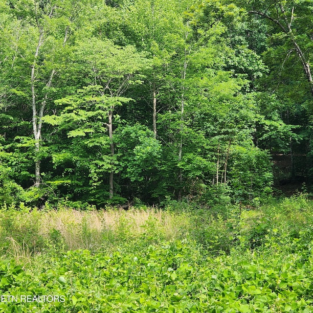 0 Elm Springs Ridge Rd, Washburn, TN 37888 - photo 13