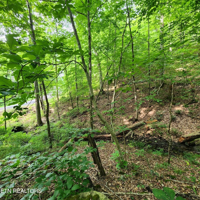 0 Elm Springs Ridge Rd, Washburn, TN 37888 - photo 19