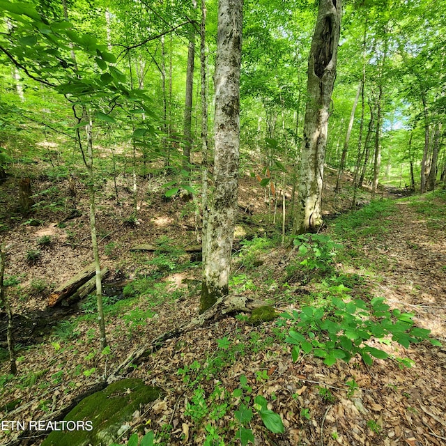 0 Elm Springs Ridge Rd, Washburn, TN 37888 - photo 20