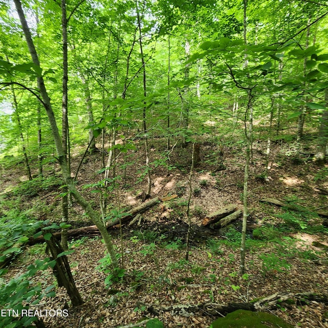 0 Elm Springs Ridge Rd, Washburn, TN 37888 - photo 21