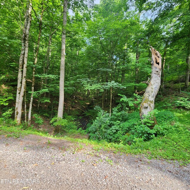0 Elm Springs Ridge Rd, Washburn, TN 37888 - photo 23