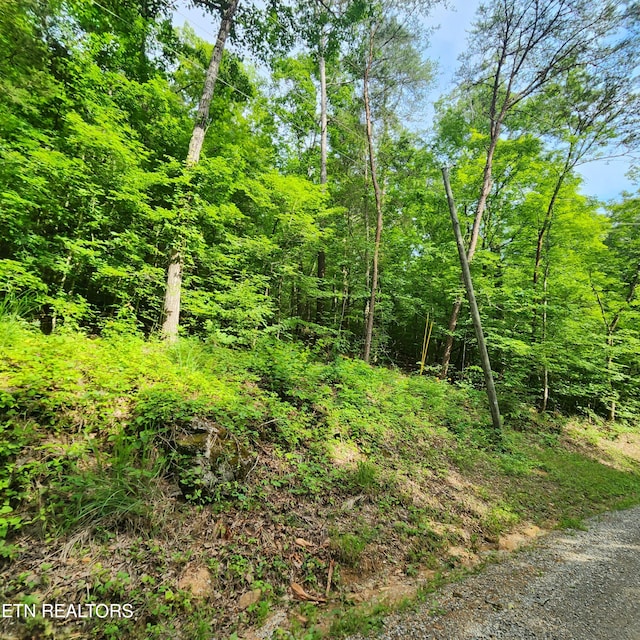 0 Elm Springs Ridge Rd, Washburn, TN 37888 - photo 24