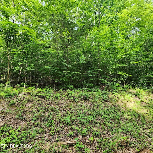 0 Elm Springs Ridge Rd, Washburn, TN 37888 - photo 26