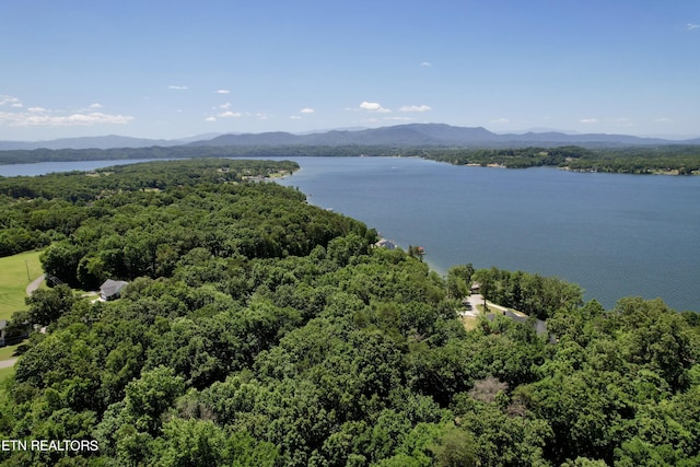 birds eye view of property with a water and mountain view