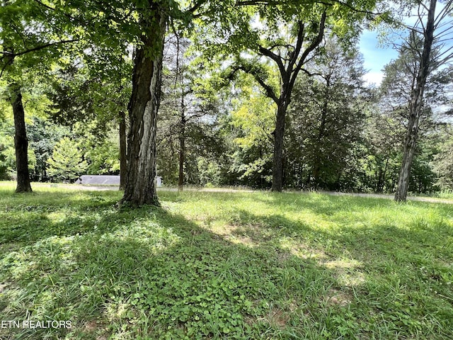 Straight Branch Rd, Speedwell TN, 37870 land for sale