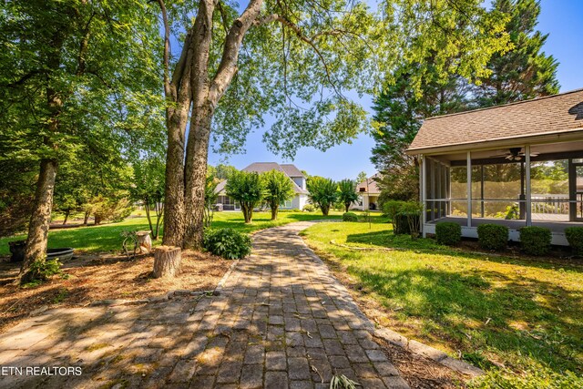 surrounding community featuring a lawn