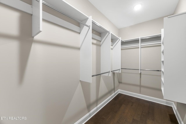 walk in closet featuring wood-type flooring