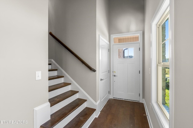 entryway with a wealth of natural light and dark hardwood / wood-style floors