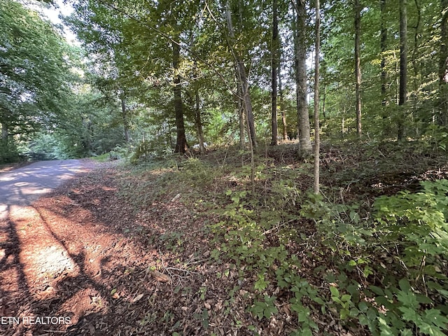 Listing photo 2 for 16.53AC Riverton Rd, Jamestown TN 38556