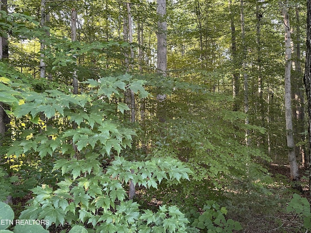 Listing photo 3 for 16.53AC Riverton Rd, Jamestown TN 38556