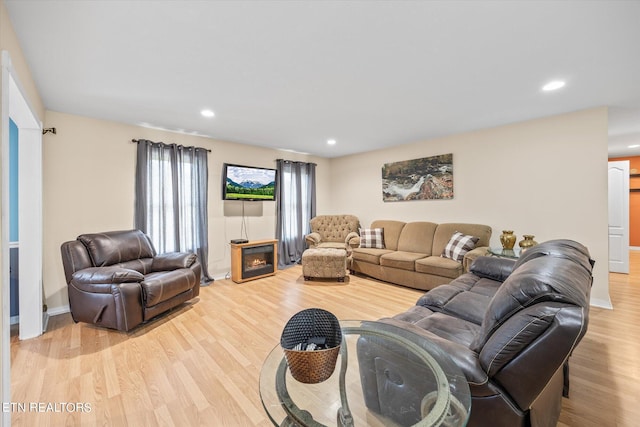 living room featuring a fireplace and light hardwood / wood-style floors