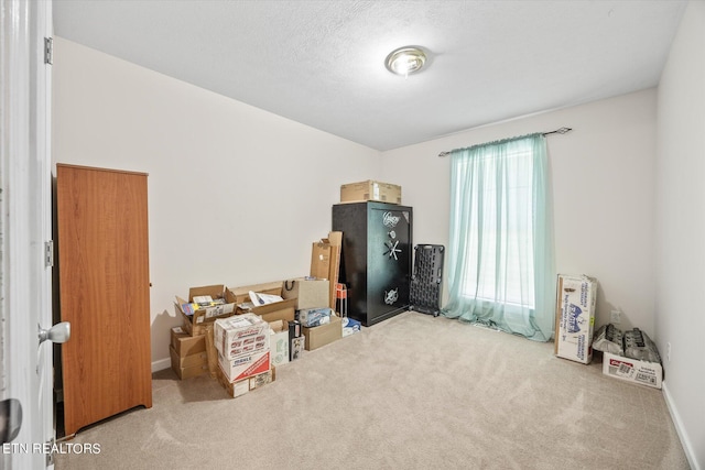 miscellaneous room featuring a textured ceiling and carpet