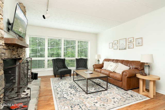 living room featuring a wealth of natural light, a stone fireplace, light wood-type flooring, and rail lighting