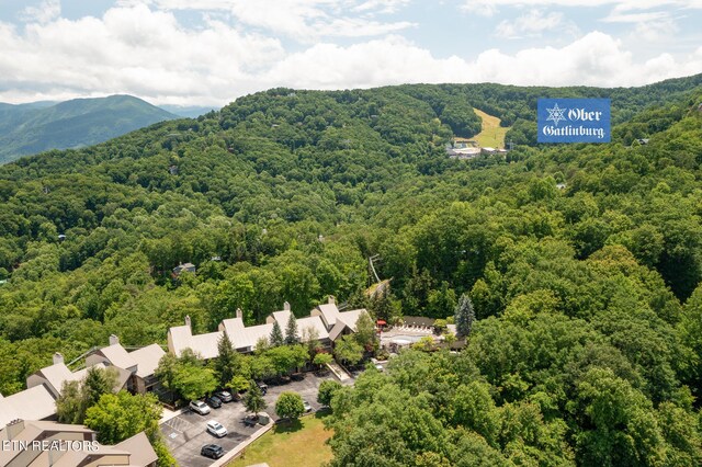 bird's eye view featuring a mountain view