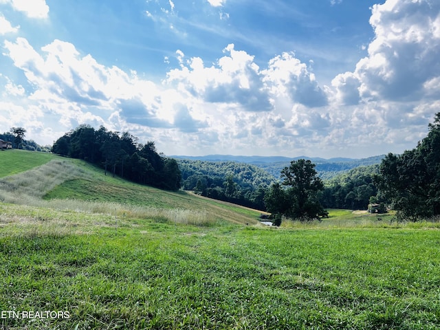 mountain view featuring a rural view