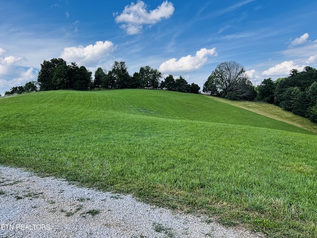 view of property's community featuring a lawn