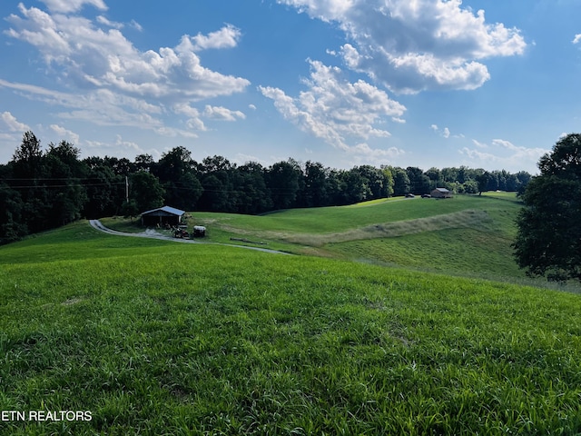 view of property's community with a yard