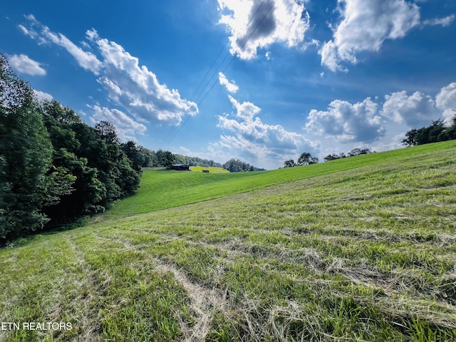 view of local wilderness with a rural view