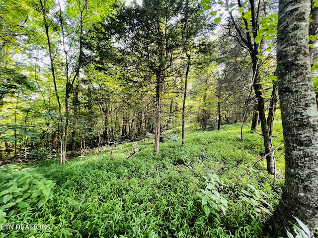 view of landscape