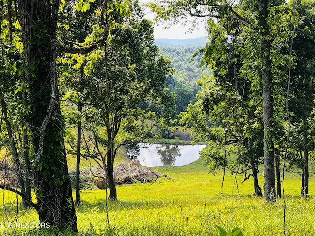 property view of water