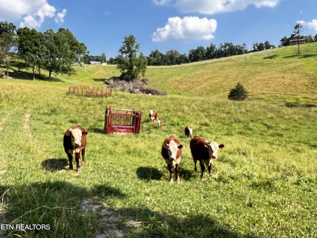 view of home's community featuring a rural view