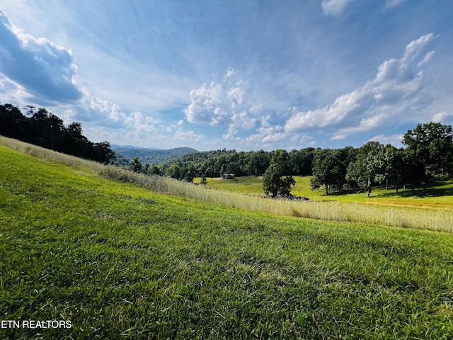 view of mountain feature with a rural view