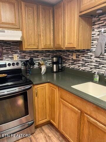 kitchen featuring decorative backsplash, ventilation hood, and stainless steel range with electric stovetop