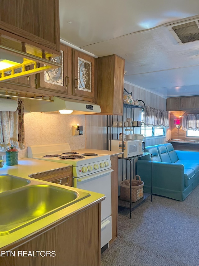 kitchen with white appliances and carpet