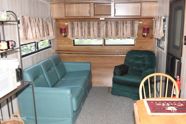 living room with carpet and wood walls