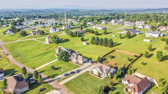 aerial view