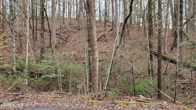 LOT12 Peace Ln, Sevierville TN, 37876 land for sale