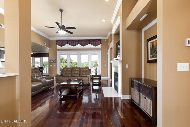 living room with crown molding, ceiling fan, and dark wood-type flooring